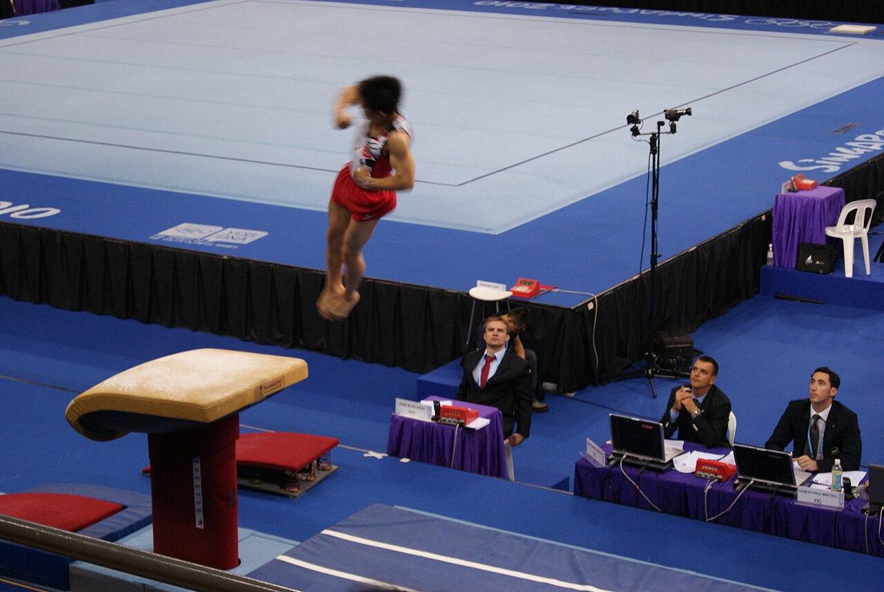 体操人物:一位顶尖选手的进阶之路(球迷文化视角)